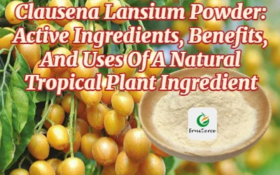 Polvo de Clausena Lansium: ingredientes activos, beneficios y usos de un ingr...