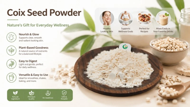 Coix Seed Powder Coix Seed Powder