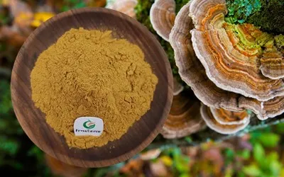 Turkey Tail Mushroom Extract Turkey Tail Mushroom Extract