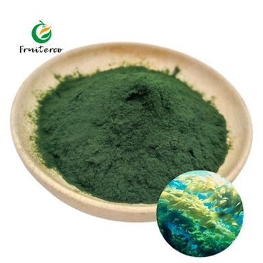 Polvo de chlorella orgánico
