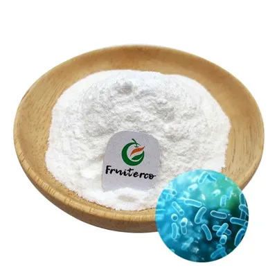 Probiótico lactobacillus paracasei